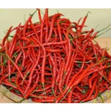 benih Cabai merah benih Cabai merah